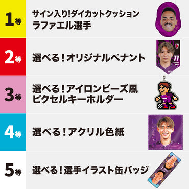 サンガラポン!【スタジアム受取/当日にサンガラポンチケットを購入ください】