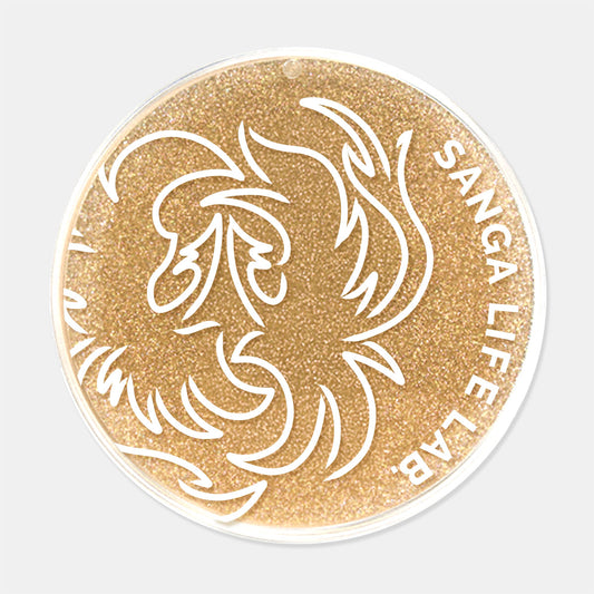 キラキラコースター