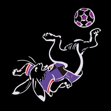 鳥獣戯画×SANGA LIFE LAB. ワンポイントTシャツ