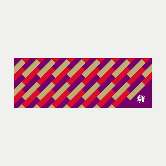 サンガカラーラインスポーツタオル