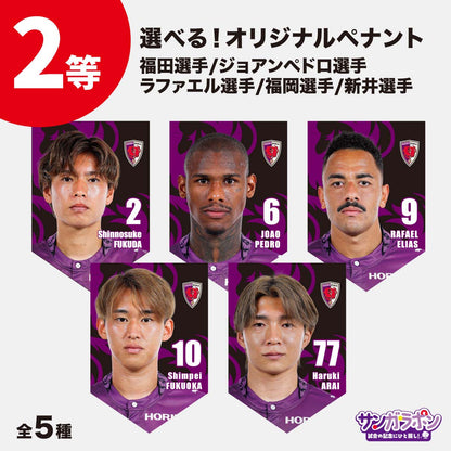 【8/15（土）川崎フロンターレ戦スタジアム受取限定】サンガラポン！チケット