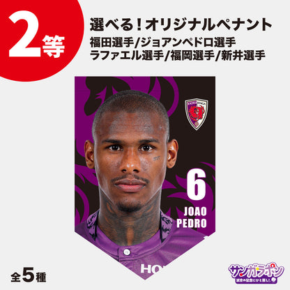 【8/15（土）川崎フロンターレ戦スタジアム受取限定】サンガラポン！チケット