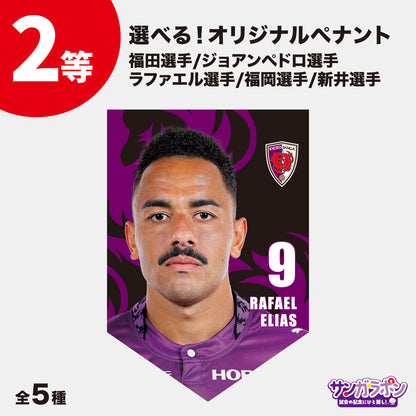 【8/15（土）川崎フロンターレ戦スタジアム受取限定】サンガラポン！チケット