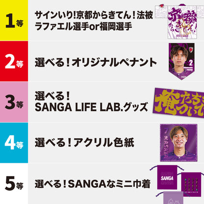【8/15（土）川崎フロンターレ戦スタジアム受取限定】サンガラポン！チケット