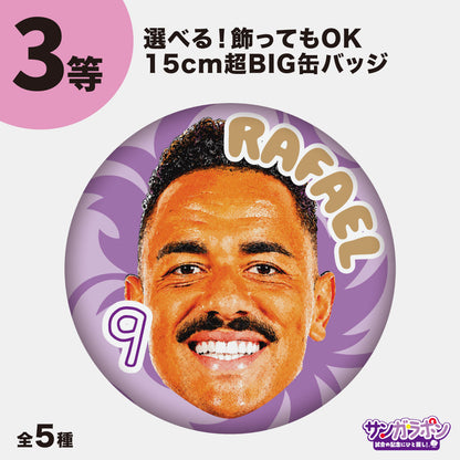 サンガラポン！【スタジアム受取/当日にサンガラポンチケットを購入ください】