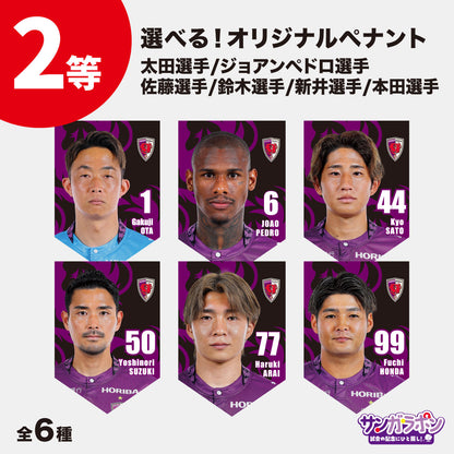 【9/6（日）FC東京戦スタジアム受取限定】サンガラポン！チケット