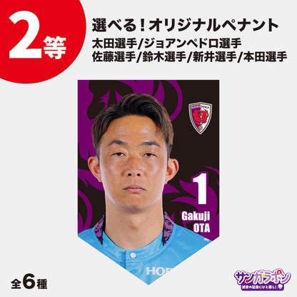 【9/6（日）FC東京戦スタジアム受取限定】サンガラポン！チケット