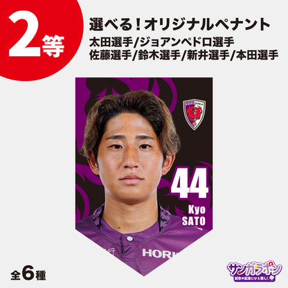 【9/6（日）FC東京戦スタジアム受取限定】サンガラポン！チケット