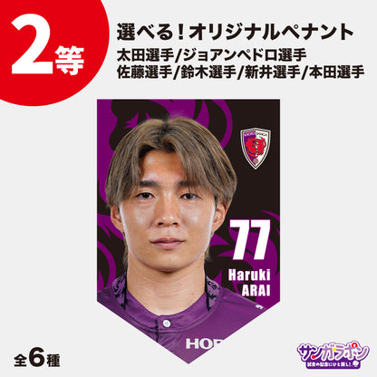 【9/6（日）FC東京戦スタジアム受取限定】サンガラポン！チケット