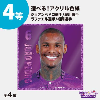 【9/6（日）FC東京戦スタジアム受取限定】サンガラポン！チケット