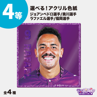 【9/6（日）FC東京戦スタジアム受取限定】サンガラポン！チケット