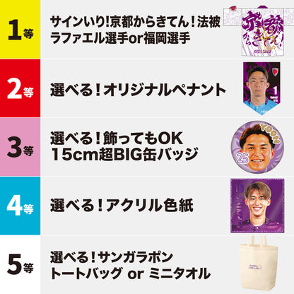 【9/6（日）FC東京戦スタジアム受取限定】サンガラポン！チケット