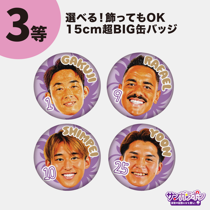 【9/6（日）FC東京戦スタジアム受取限定】サンガラポン！チケット