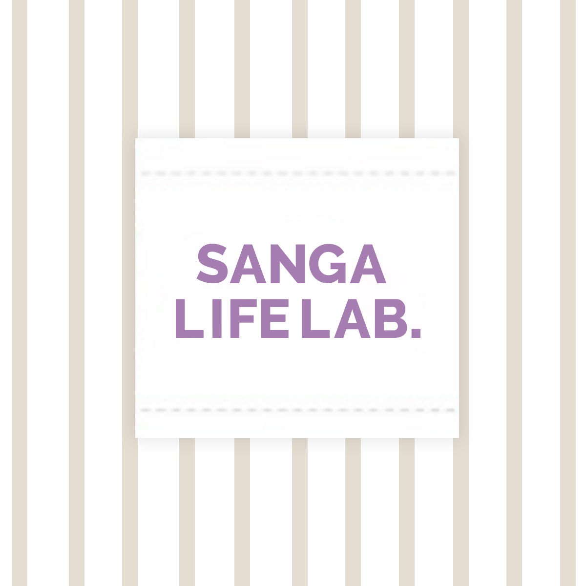 SANGA LIFE LAB. ストライプシャツ